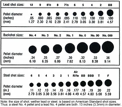 shot_sizes.jpg (45304 bytes)