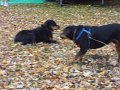 DSC00258