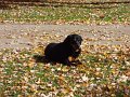 DSC00261