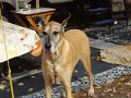 DSC00269