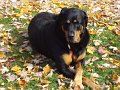 DSC00270