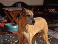 DSC00277